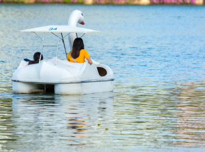 person riding a swan paddleboat on lake